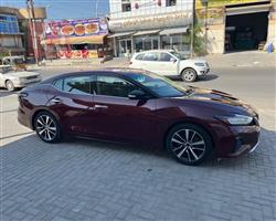Nissan Maxima